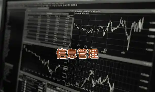 ‌软件信息咨询服务