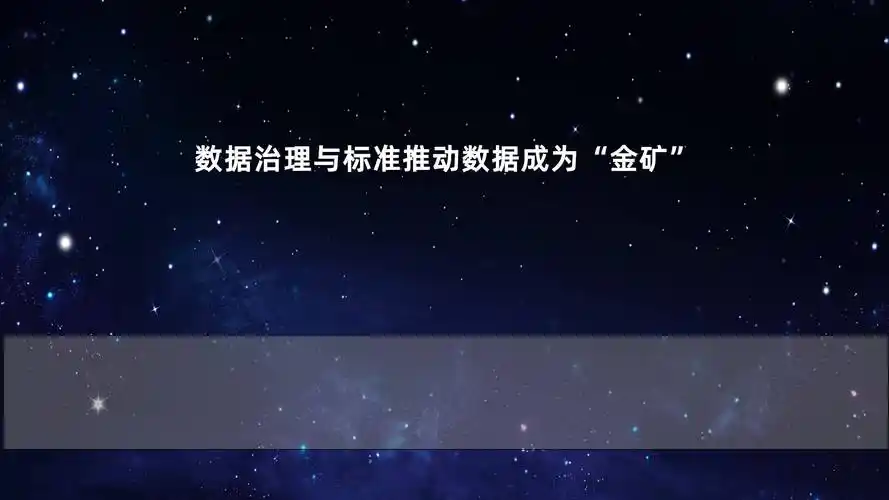 ‌数据治理和合规性管理软件